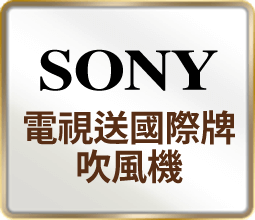 SONY 電視送國際牌吹風機