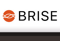 荷蘭BRISE