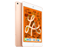 iPad mini